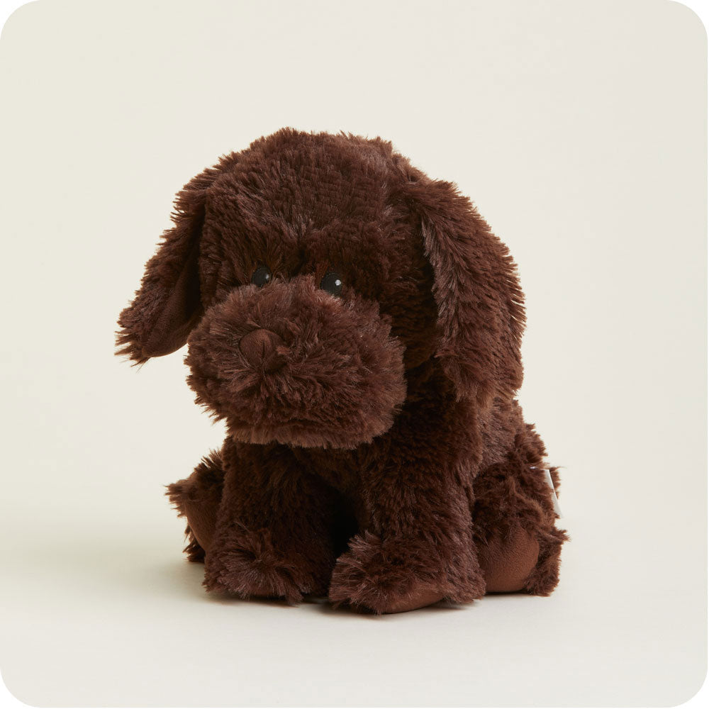 Image 104: Microwavable Chocolate Labrador