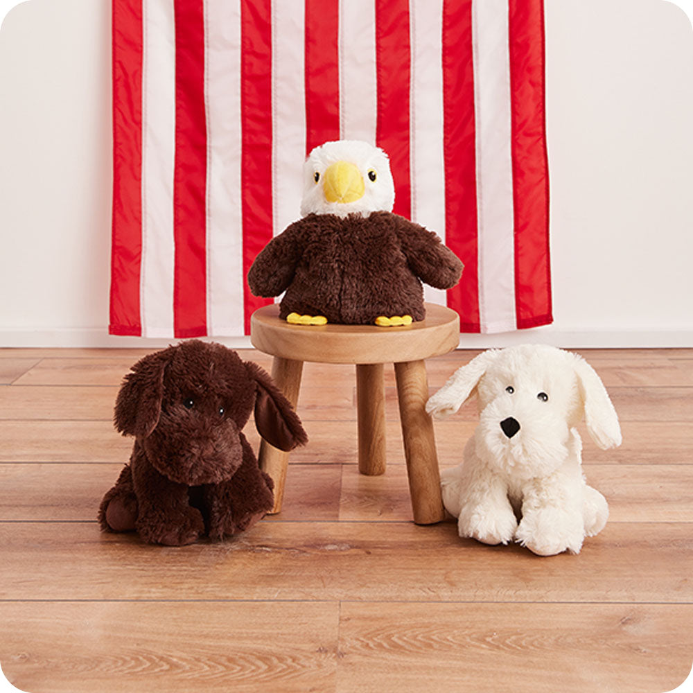 Image 99: warmies chocolate lab stuffed animal with eagle and white dog lifestyle
